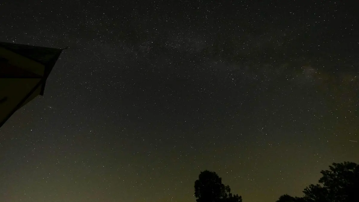 A stunning view of the starry night sky showcasing the Milky Way above silhouettes of trees.