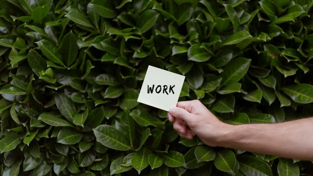 Trabajo Tranquilo: cómo salir de la trampa de la productividad frenética - Trabajo Tranquilo